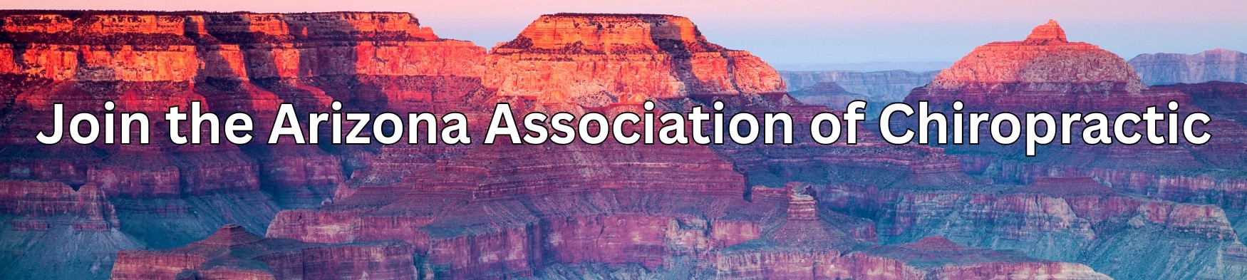 Join AAC