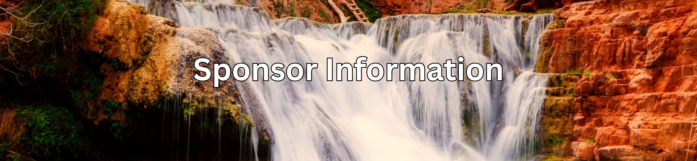 Sponsor Info